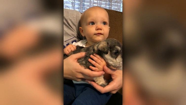 Il cucciolo fa miracolo. Guardate l'espressione del bimbo