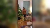 Il cagnolone adora il Natale e aiuta la padrona ad addobbare l'albero