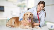 Spese veterinarie: come cambiano le detrazioni nel 2020