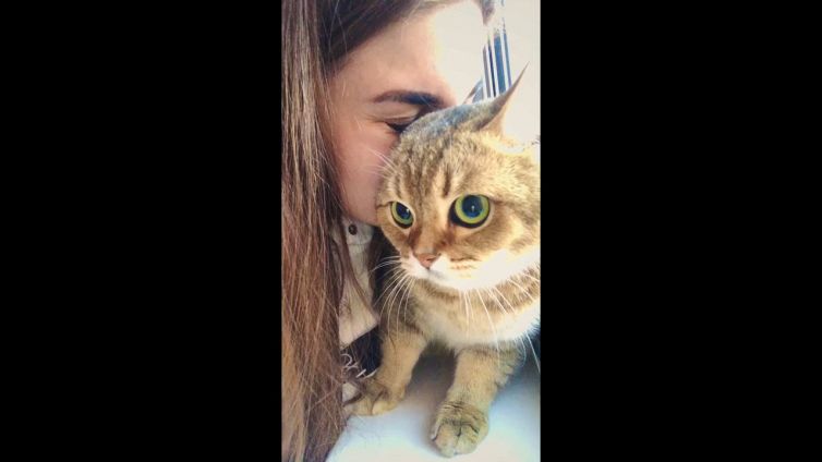 Prova a baciare il gatto. La reazione è da paura