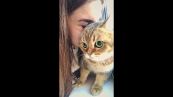 Il tenero gattino non vuole essere baciato