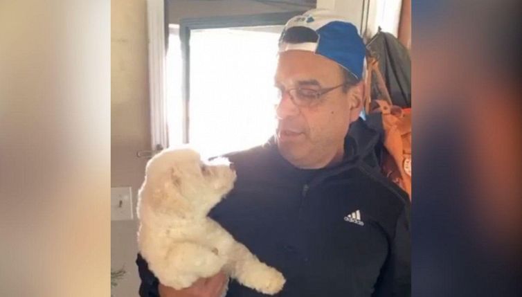 Torna a casa con il cane sbagliato: la reazione della moglie è epica