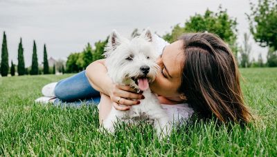 Perché non bisogna avere paura dei cani