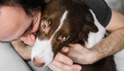 Tutti i modi in cui i cani fanno bene agli uomini