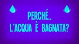 Perché l’acqua è bagnata?