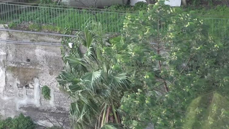 Napoli, allerta meteo per vento forte