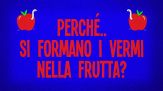 Perché si formano i vermi nella frutta?