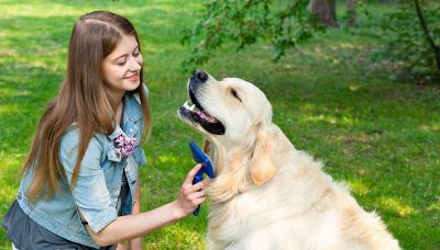 7 cose che è bellissimo fare con il cane
