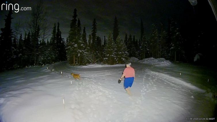 Porta il cane a fare una passeggiata, ma fa un incontro fuori dal comune