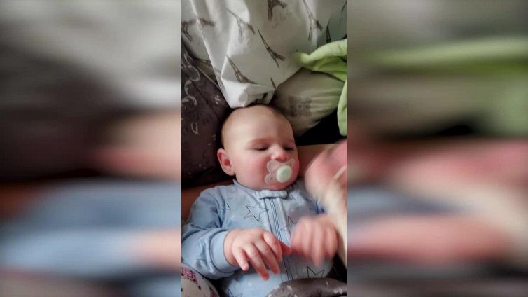 Il cucciolone è in vena di coccole e il bimbo se ne approfitta