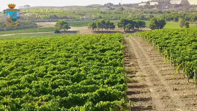 Trento, riciclaggio di beni della mafia: sequestrati vigneti e fabricati
