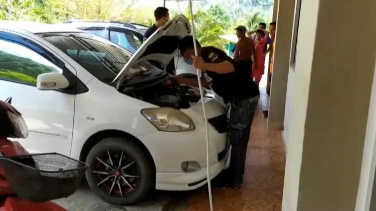 Trova un cobra reale nascosto nel motore della sua automobile