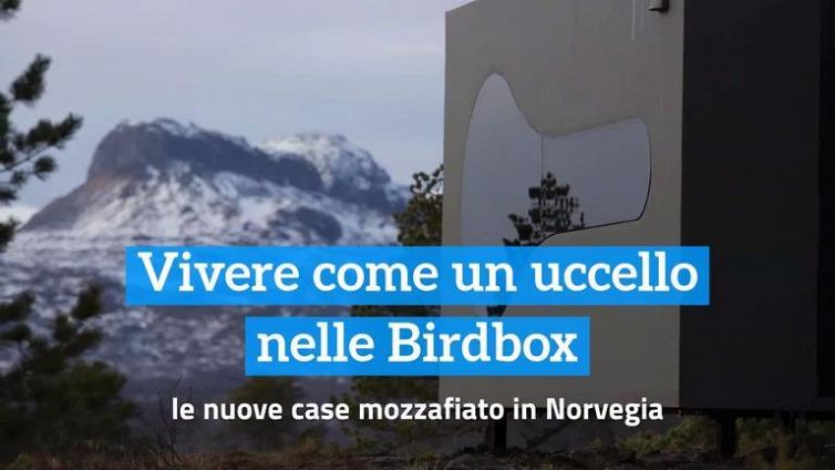 Vivere come un uccello nelle Birdbox: le nuove case mozzafiato in Norvegia
