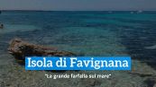 Isola di Favignana: "La grande farfalla sul mare"