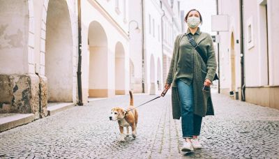 Lockdown: come preparare il cane al ritorno alla normalità