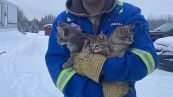 Gattini intrappolati nella neve, li salva col caffè caldo
