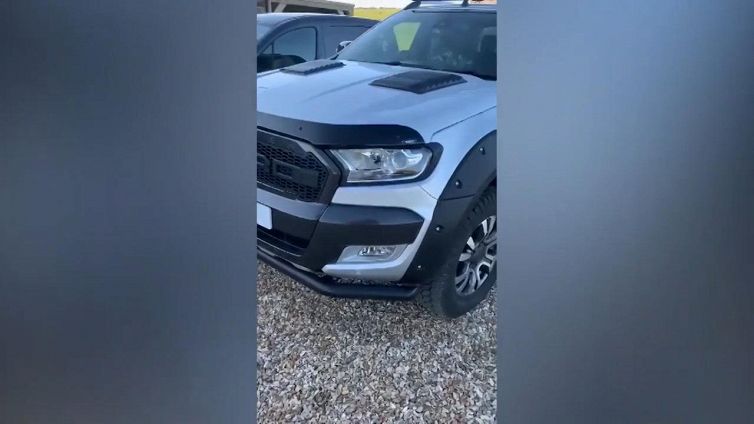 Riprende l’auto dopo due mesi, ma il veicolo è occupato da un nido di uccellini