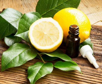 8 rimedi "green" per dire addio alle formiche