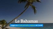 Le Bahamas, viaggio tra le isole più belle e sognate dei Caraibi