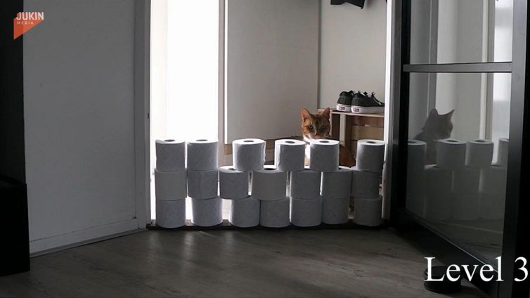 Supermario cat, il gatto riuscirà a passare tutti i livelli?