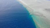 La spettacolare migrazione delle tartarughe verdi in Australia