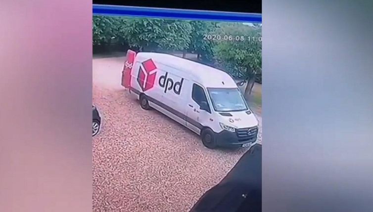 Il corriere vuole consegnare un pacco, ma il tacchino lo attacca