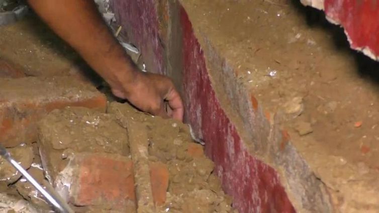 Hanno un nido di cobra in casa, ma il cacciatore di serpenti li mette in salvo