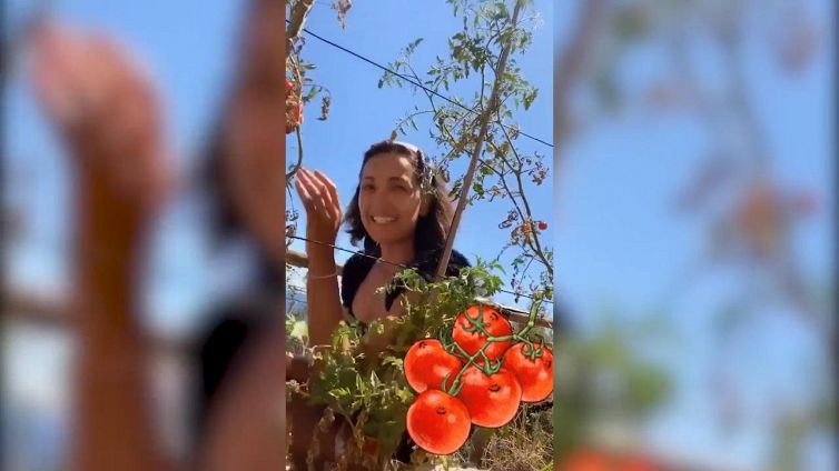 Caterina Balivo in versione raccoglitrice di pomodori