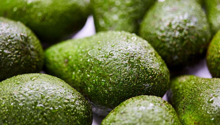 Avocado, il trucco per renderlo maturo con l'acqua