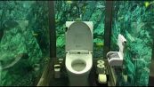 Toilette nell’acquario, il bar giapponese fa il pieno di turisti