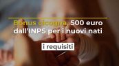Bonus cicogna, 500 euro dall’INPS per i nuovi nati: i requisiti