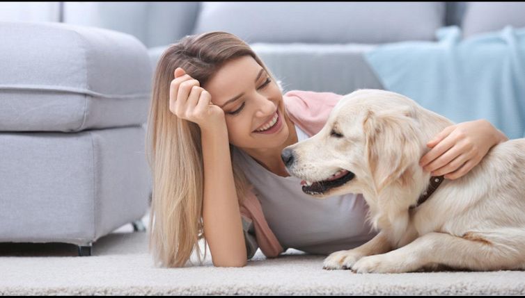 Quanto costa mantenere un cane