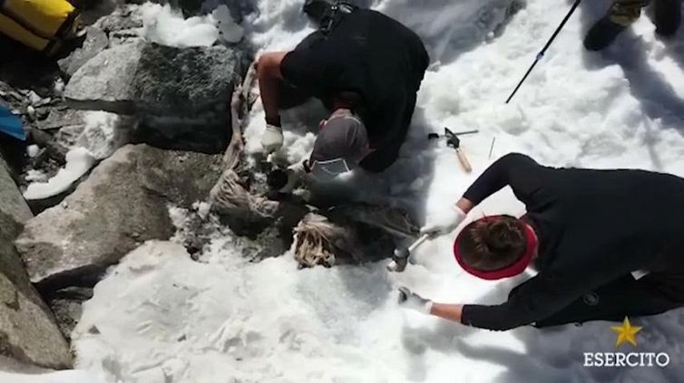 Ghiacciaio restituisce la mummia di un camoscio di 400 anni