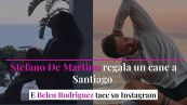 Stefano De Martino regala un cane a Santiago e Belen Rodriguez tace su Instagram