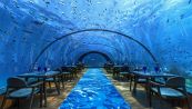Il ristorante sott'acqua: qui puoi cenare in compagnia dei pesci