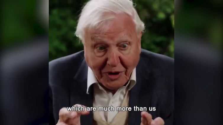 I figli di William e Kate parlano per la prima volta in pubblico