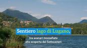 Sentiero lago di Lugano, tra scenari mozzafiato alla scoperta del Sottoceneri