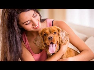 Cosa significa avere un cane