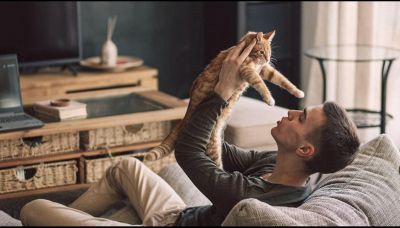 Fare amicizia coi gatti? Basta socchiudere gli occhi