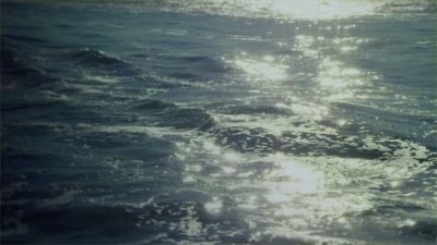 L’oceano ha bisogno d’aiuto. Ecco 5 modi per contribuire