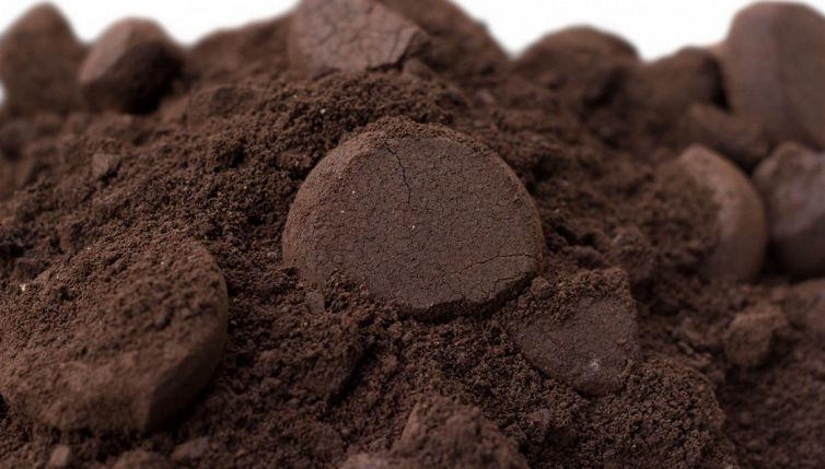 Non buttare i fondi del caffè, ti renderanno più bella