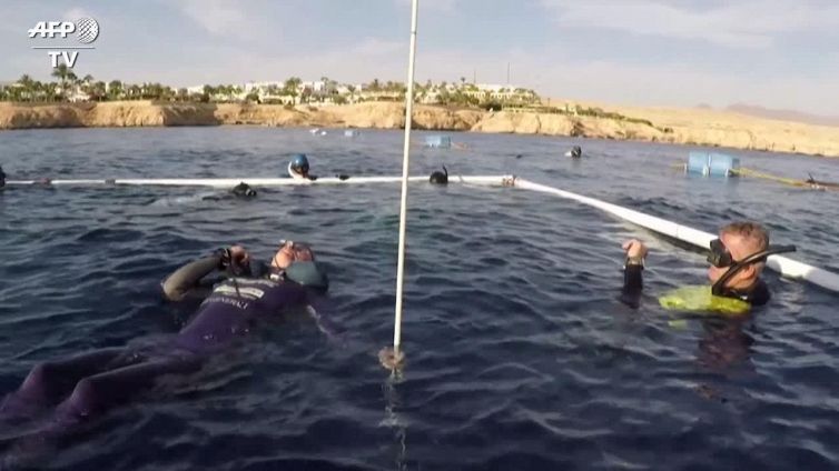 Apnea: la slovena Alenka Artnik stabilisce un nuovo record mondiale