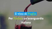 Il vino di Puglia, per "Forbes": un'avanguardia italiana