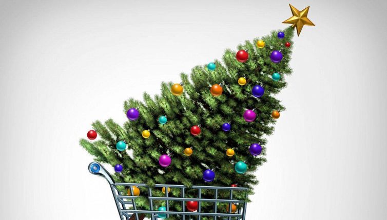 Albero di Natale, sei consigli utili per la scelta