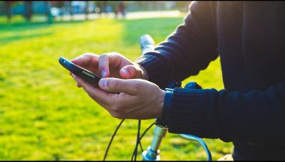 Come aiutare le api selvatiche tramite app