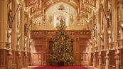 Il nuovo albero di Natale della Regina d'Inghilterra