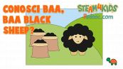 Conosci Baa Baa Black Sheep?