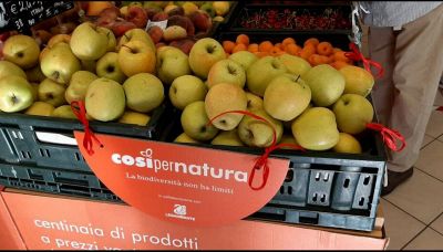 Il supermercato che recupera e vende il cibo brutto ma buono