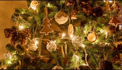 Natale, come decorare casa con frutta e piante aromatiche