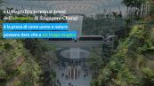 Singapore: il turismo del futuro è green